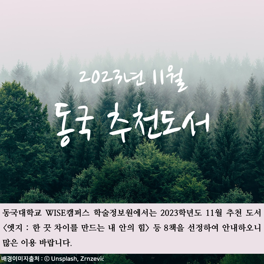 📚 11월 추천 도서 소개 📚